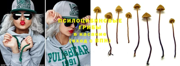 МДПВ Абинск